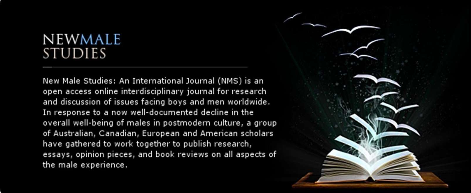 NCFM Member Tim Patten on “Formulating the New Male Studies Curriculum”