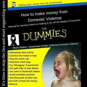 NCFM Member Jason Dale, Domestic Violence by Dummies – a must read