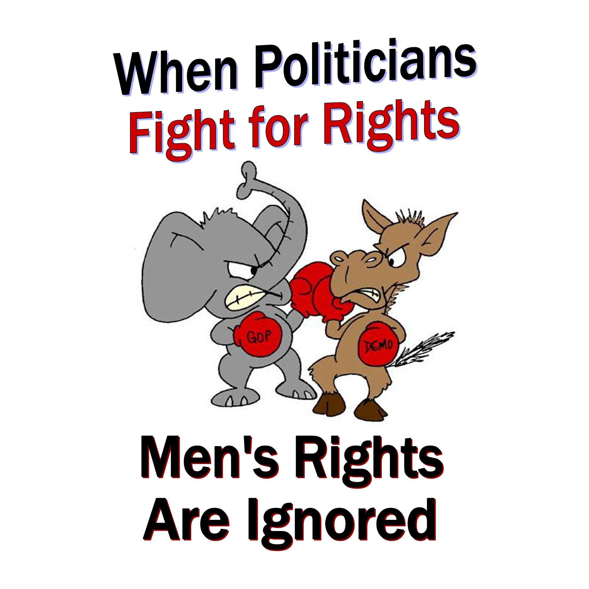 When_Politicians_Fight_For_Rights_Mens_Rights_Are_Ignored